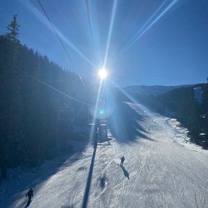 Meet your Posher, Riley